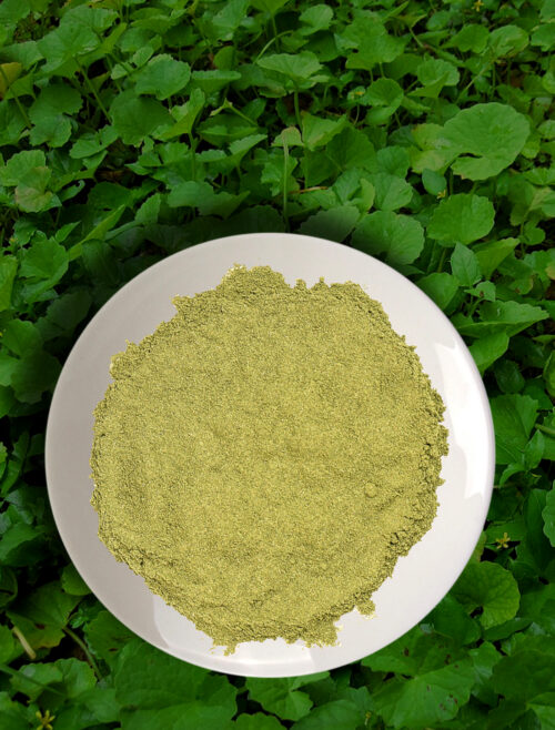 Organic Pennywort (Gotukola)  – Powder