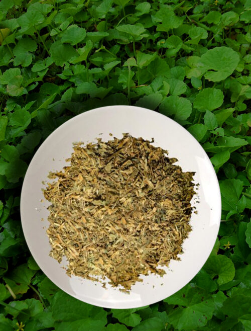 Organic Pennywort (Gotukola) – Tea Bag Cut