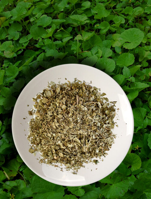 Organic Pennywort (Gotukoka)  – Whole